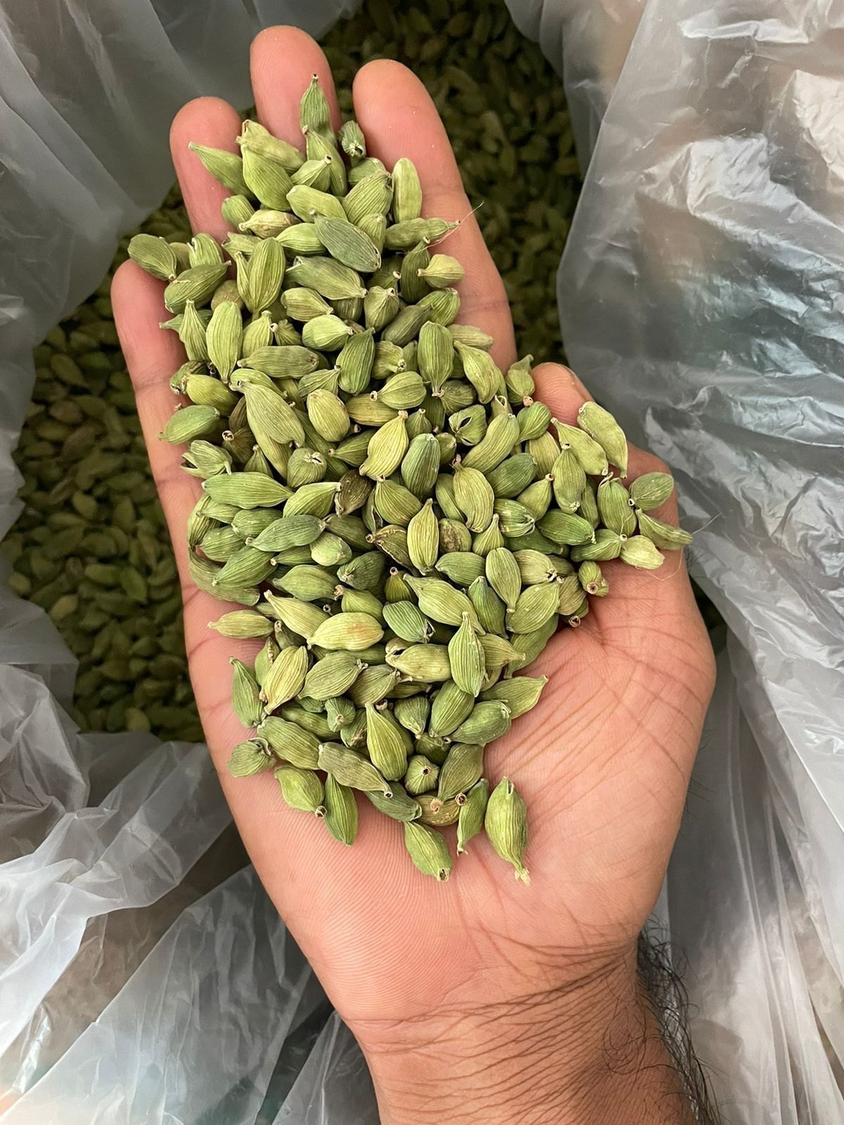 Green Cardamom 3